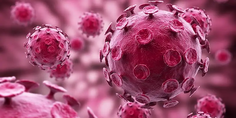 Contaminantes, Alérgenos, Virus